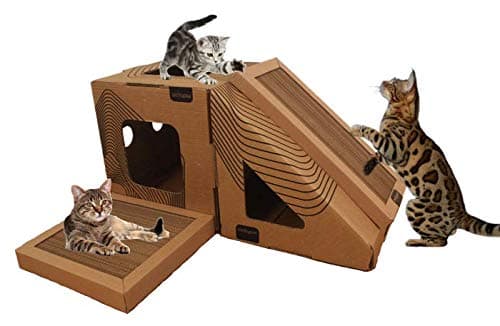 Superflight Aerobie Orbiter Boomerang - Magenta