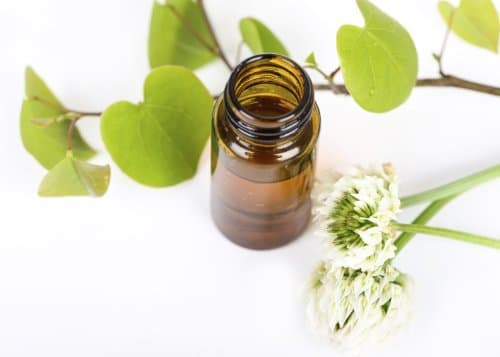 Black Walnut Non Alcoholic Tincture Juglans Nigra 125ml 4.3 OZ