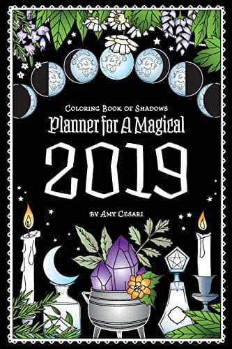 Coloring Book of Shadows: Planner for a Magical 2019 Paperback – 13 Sept. 2018
