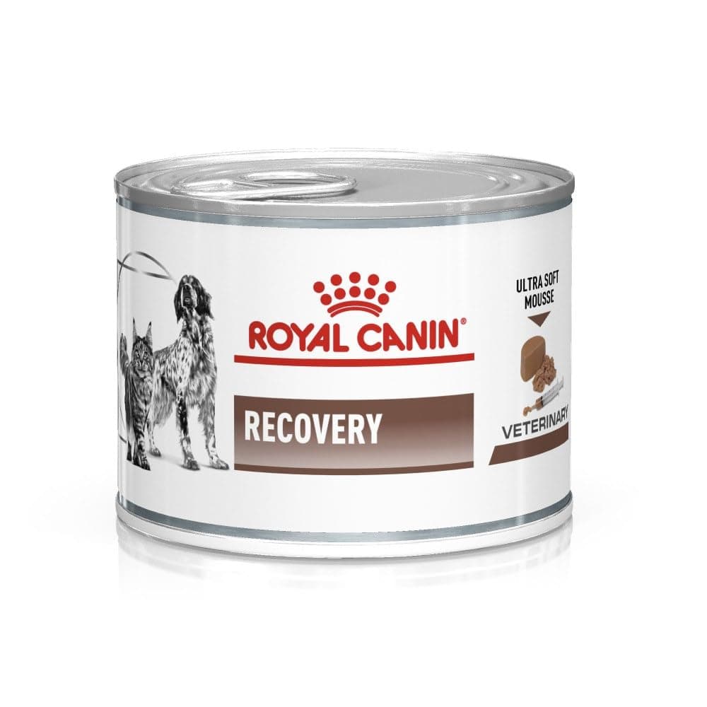 Veterinary Diet Recovery Dog/Cat Food