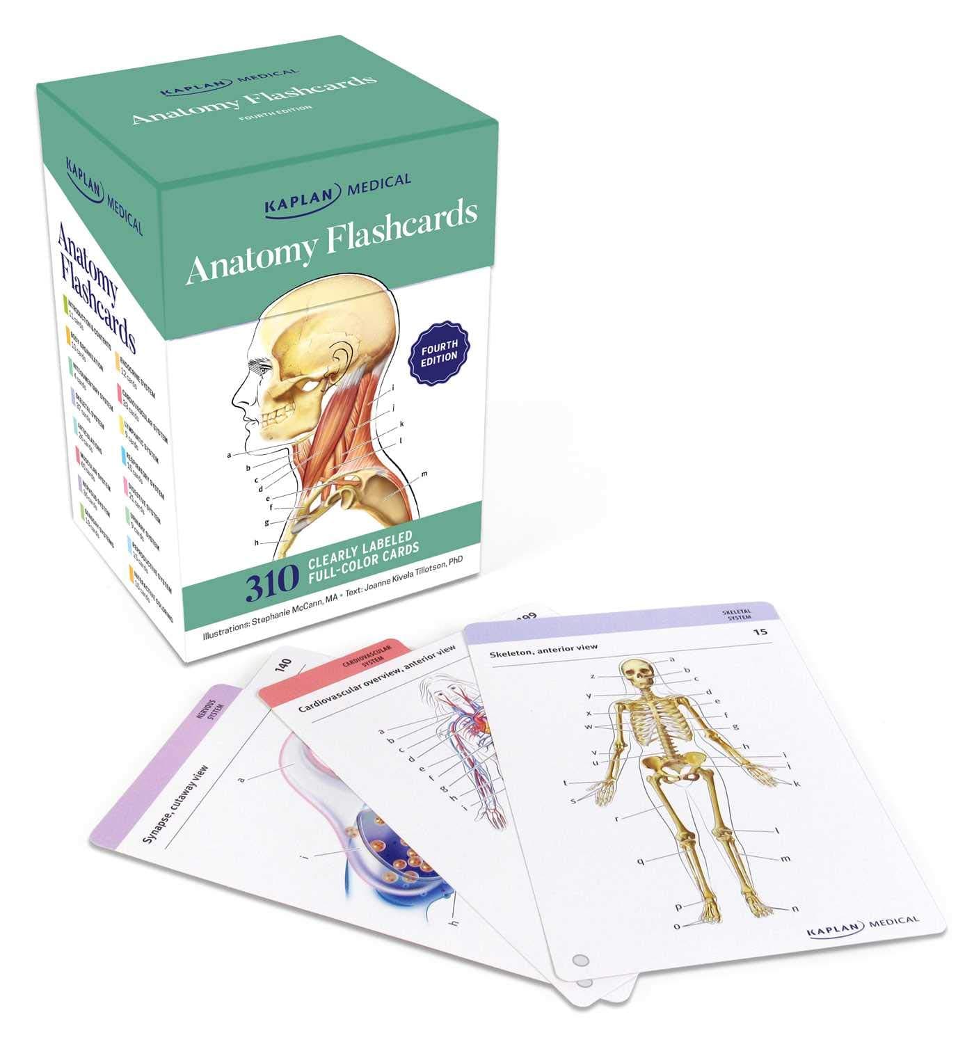 ANATOMY FLASHCARDS Cards – Illustrated, 5 January 2021