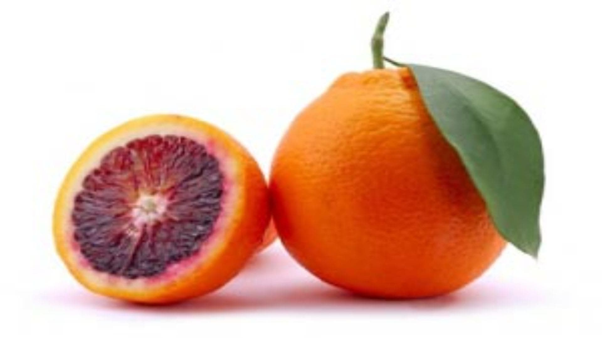 Cloud FarmCloud Farm Hybrid Valencia Orange Plant CF_3777