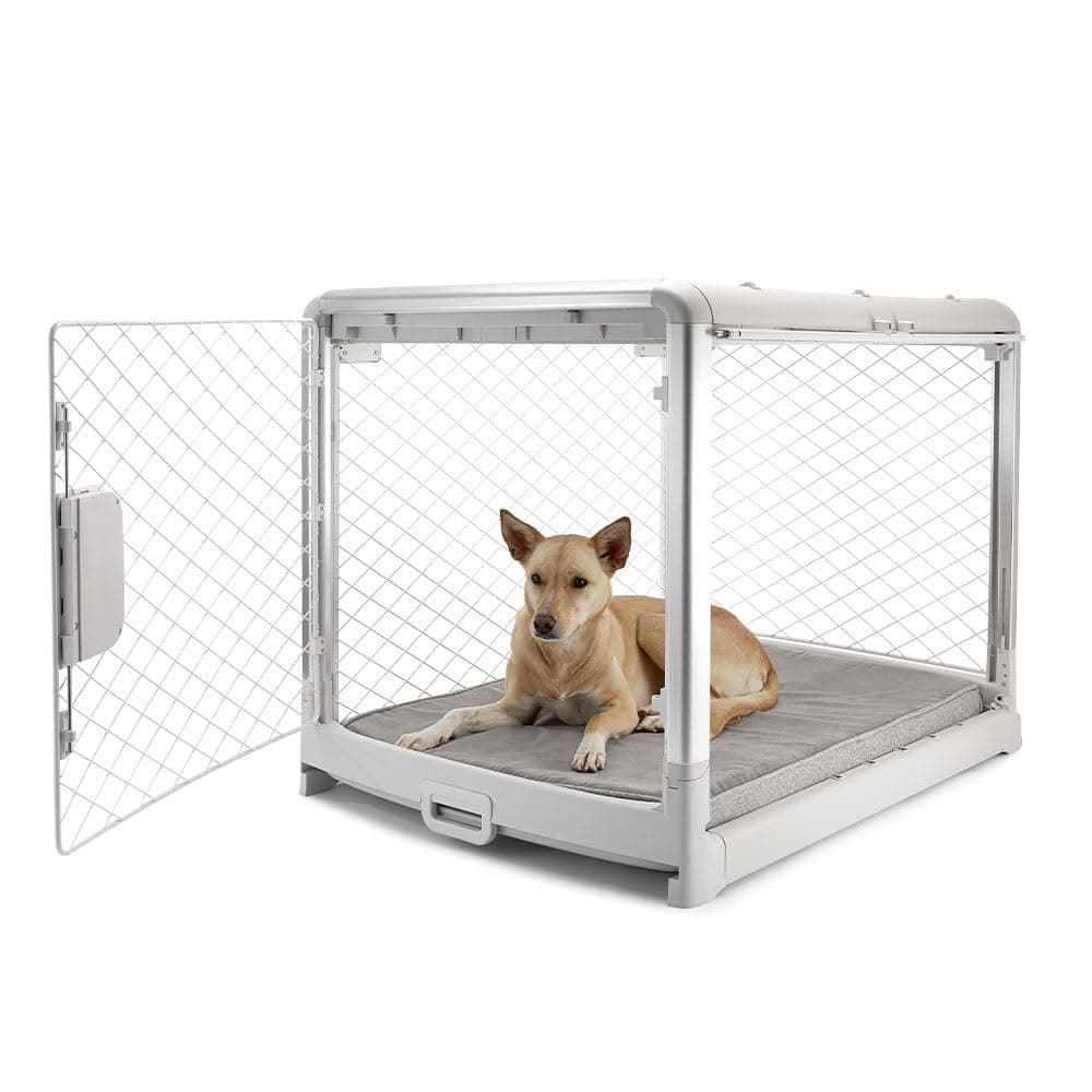 DIGGS Revol Collapsible Dog Crate with Wheels - Premium Portable Dog Crate - Safe, Stylish, and Convenient Indoor Kennel (Ash, Intermediate)