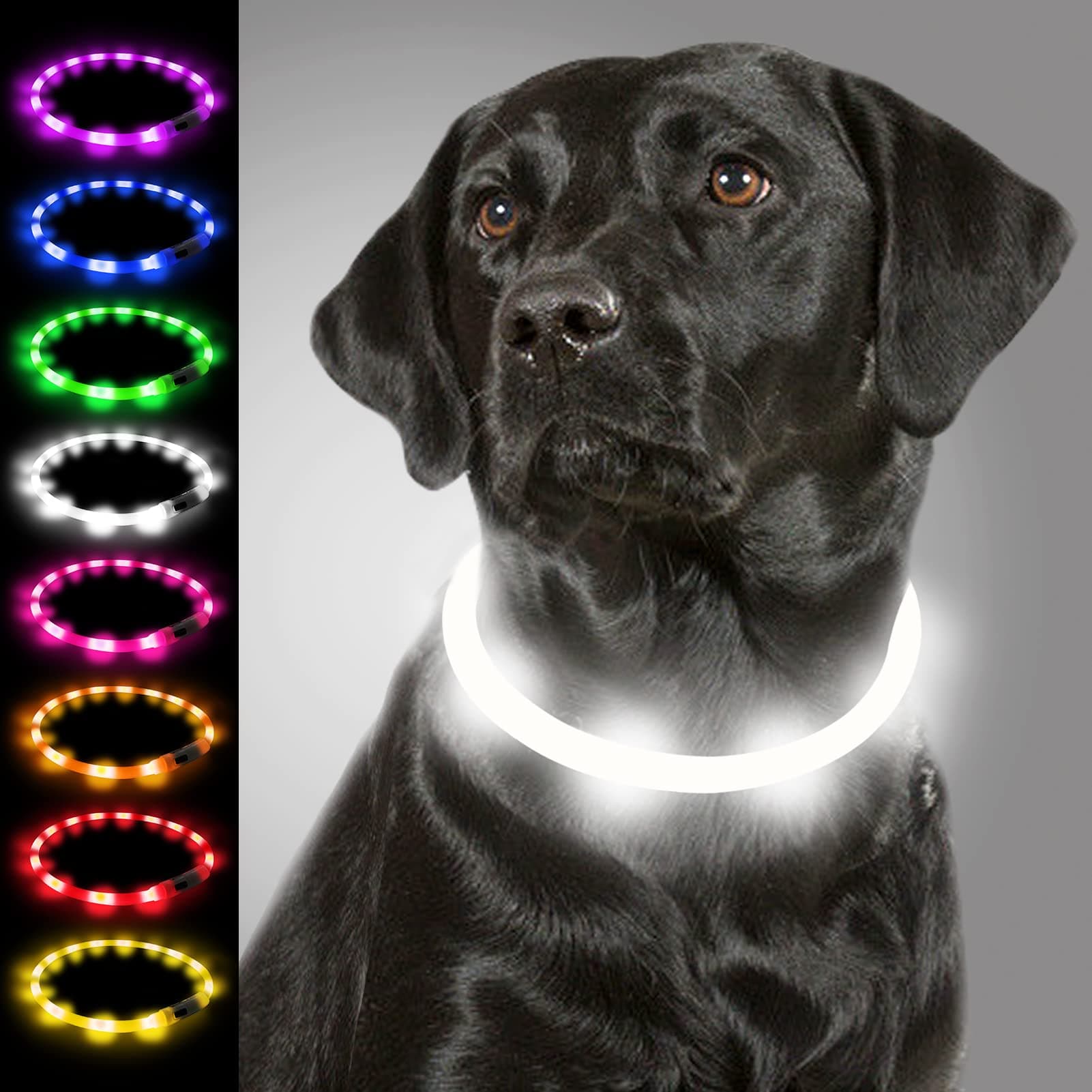 Joytale LED Dog Collar,USB Rechargeable Light Up Dog Collars for Night Safety,Glowing in The Dark Collar for Small Medium Large Dogs, White