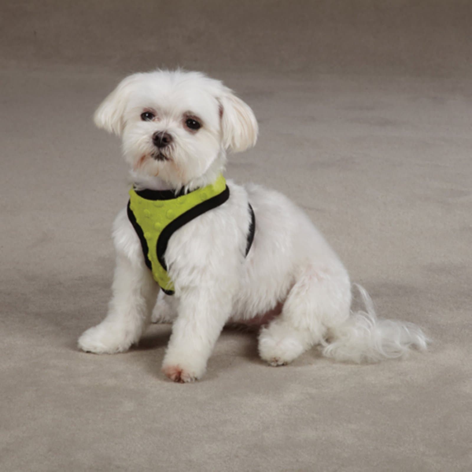 Polyester Dimple Plush Dog Harness, Medium, Parrot Green