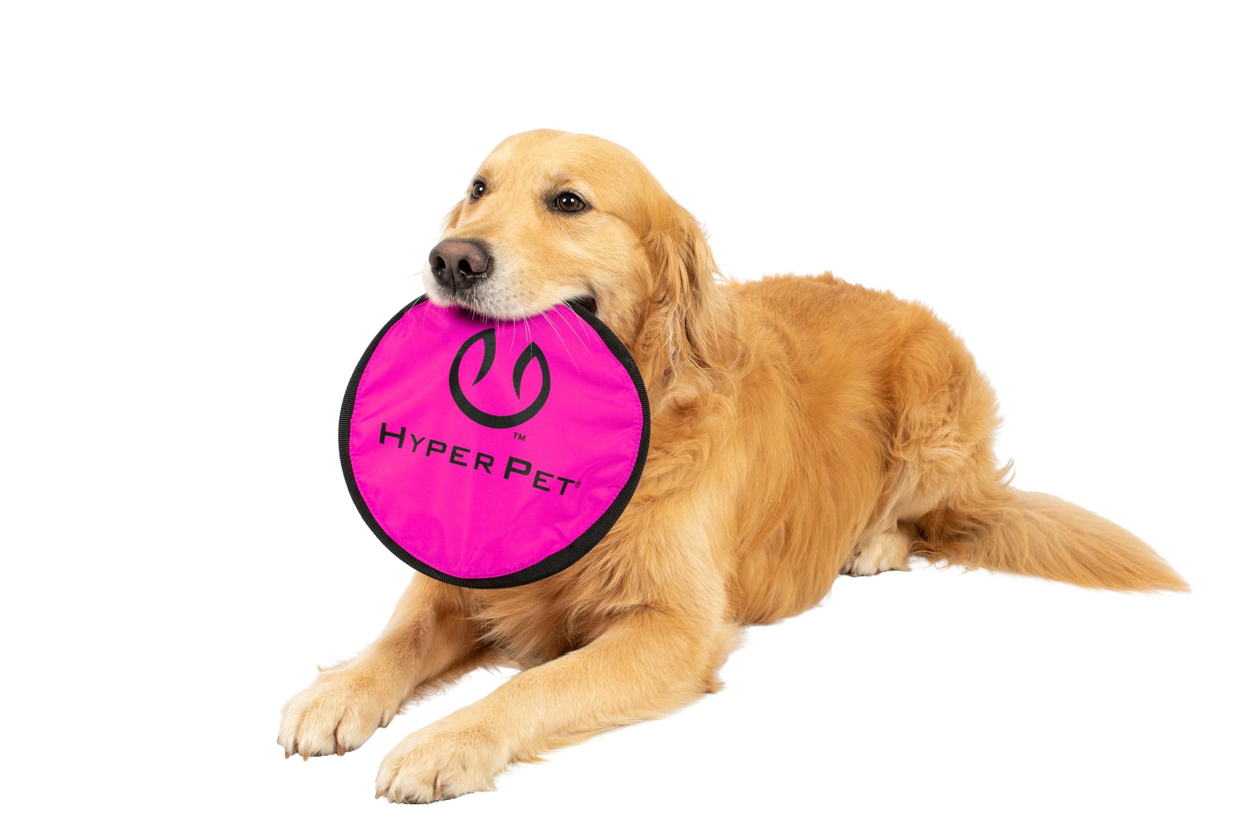 Hyper Pet Flippy Flopper Dog Frisbee Interactive Dog Toys [Flying Disc Fetch Toy Floats in Water & Safe on Teeth] (Colors Will Vary), Multicolor, 9"