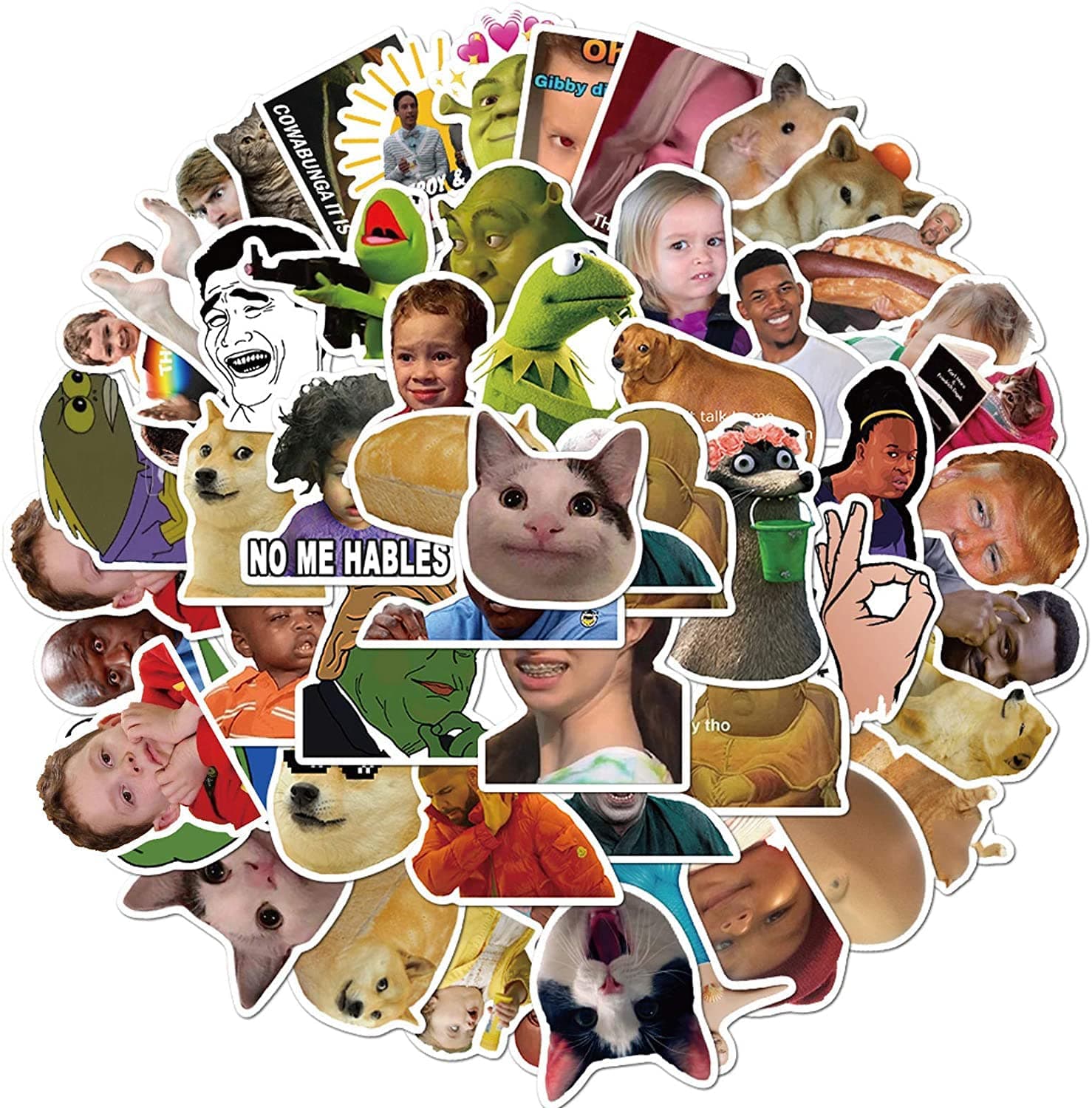 50Pcs Funny Meme Stickers Water Bottles Laptop Phone Computer Guitar Skateboard Hydroflasks Fashion Internet Celebrity Meme Waterproof Vinyl Sticker Aesthetic Trendy Decals for Teens Boys Girls Adults