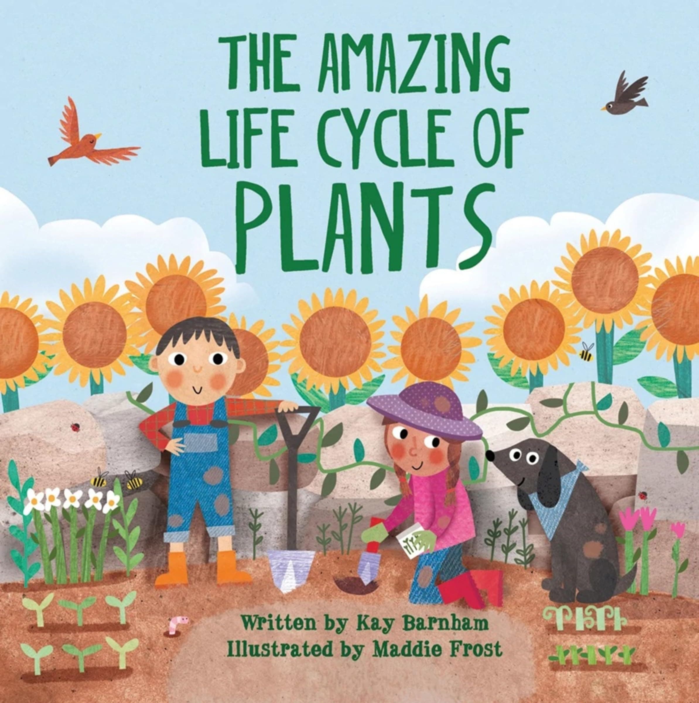 The Amazing Life Cycle of Plants: An Early Reader Science Book About How Plants Grow (Look and Wonder)