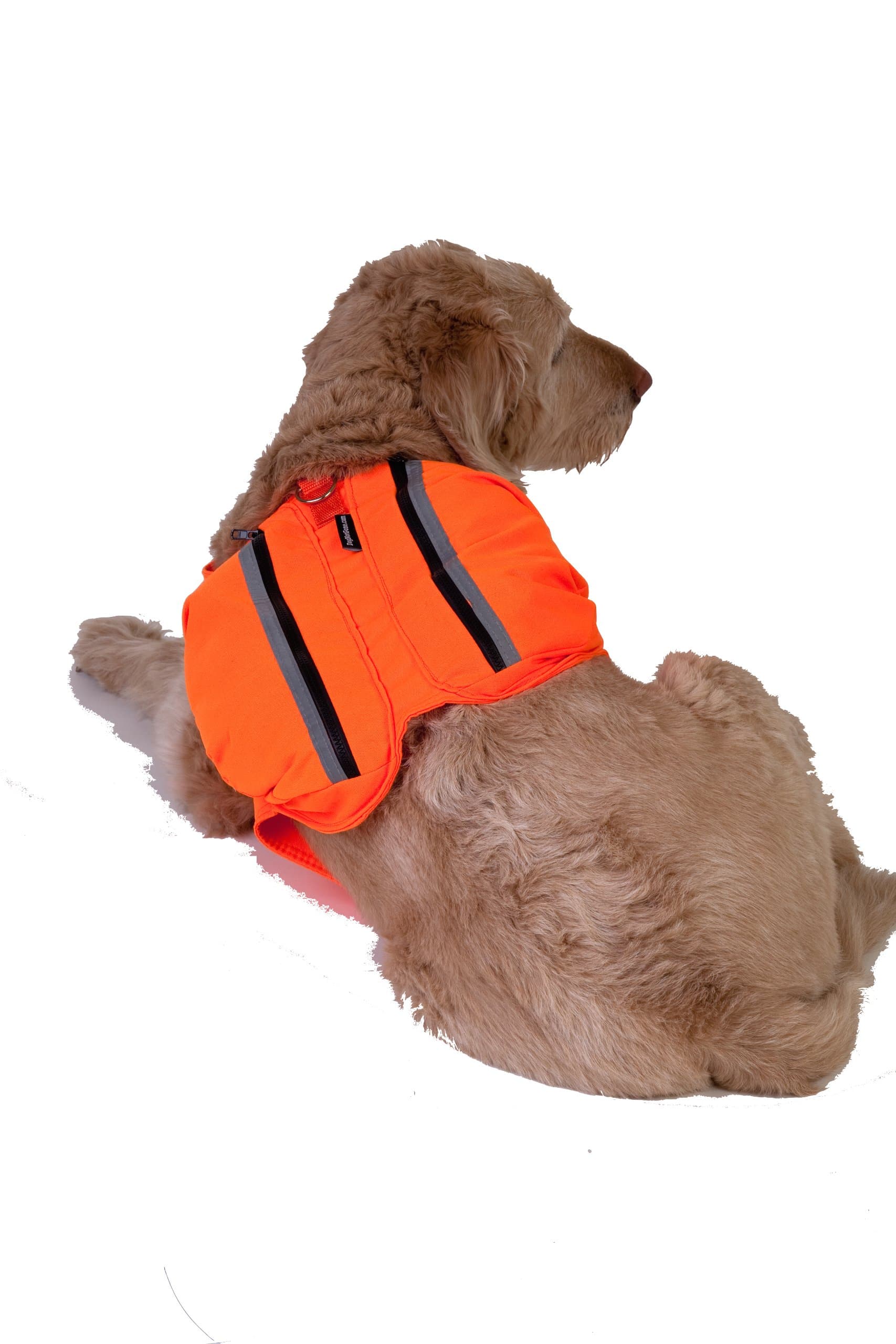 Dog Not Gone Visibility Products Safety Pack Vest, 36-Inch