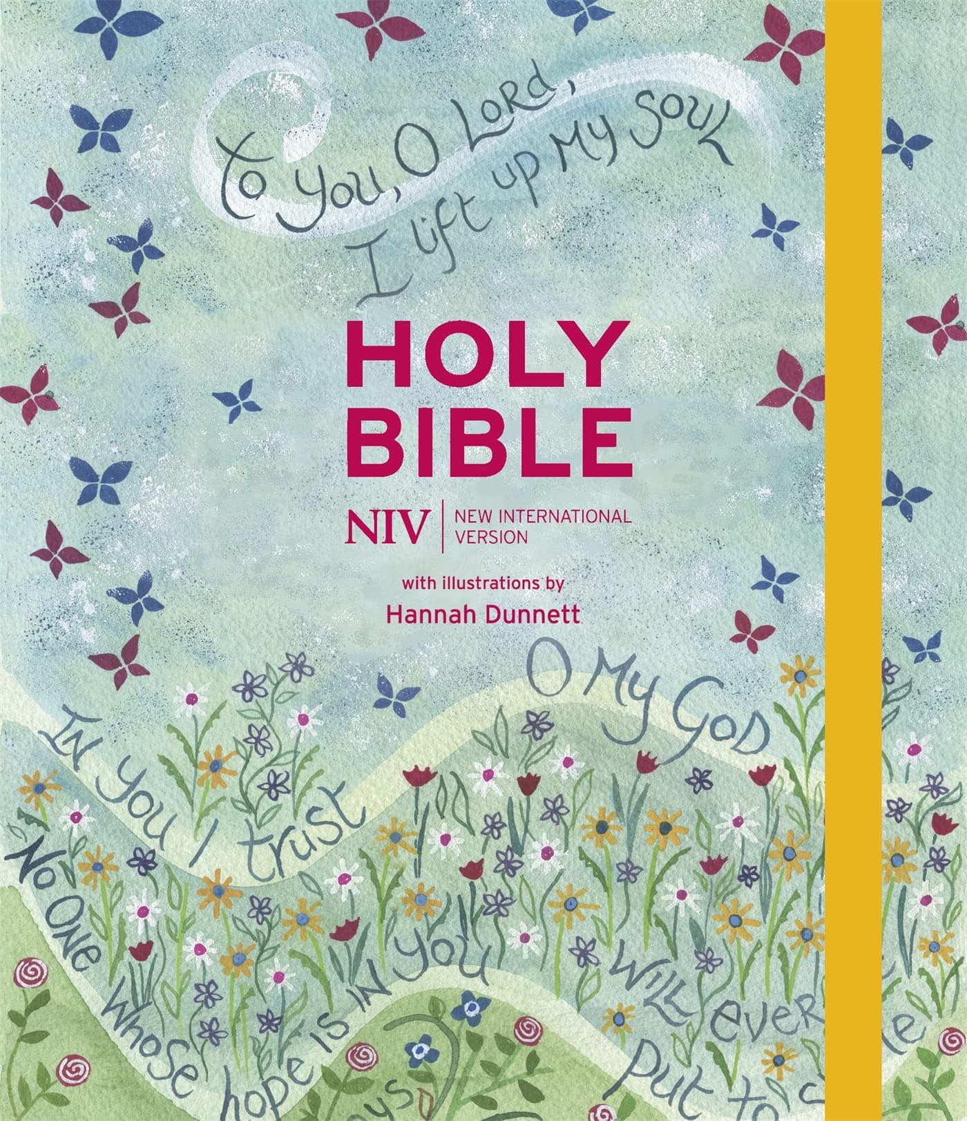 NIV JOURNALLING BIBLE ILLUSTRATED BY HANNAH DUNNETT (NEW EDITION)