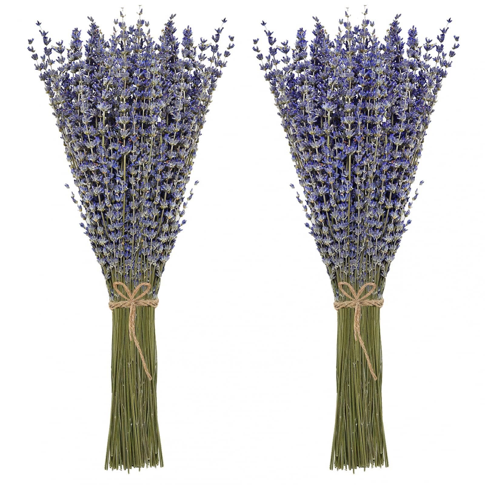 100% Natural Dried Lavender Flowers