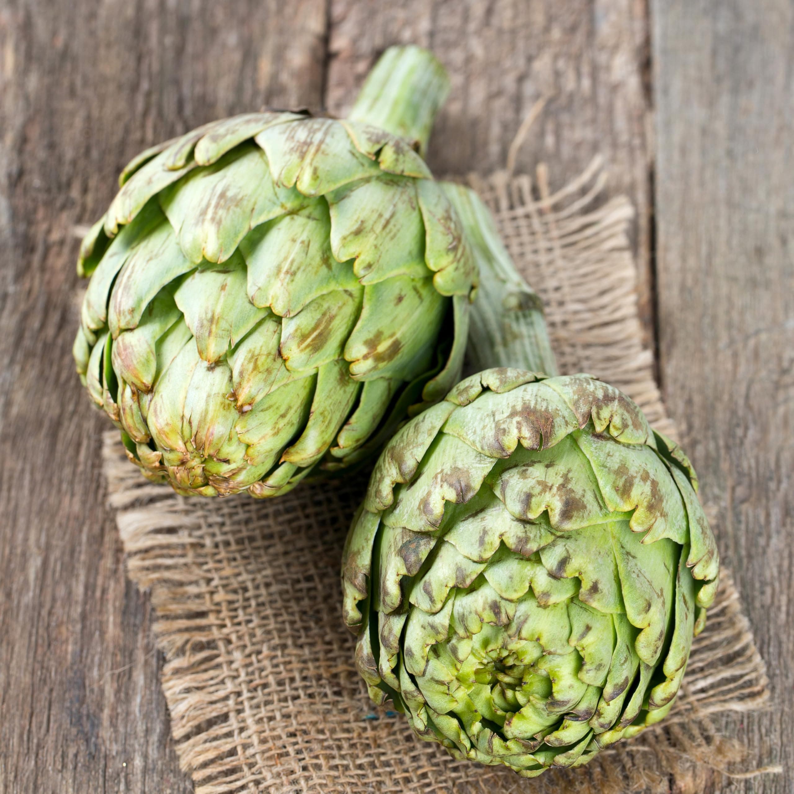 PREMIER SEEDS DIRECT - Artichoke Italian – Green Globe - 100 Finest Seeds