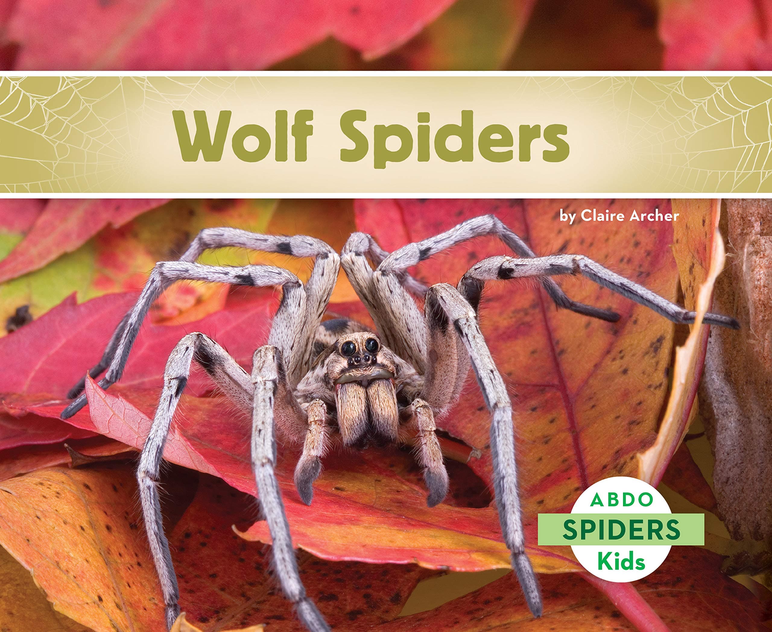 Wolf Spiders, Guided Reading Level I