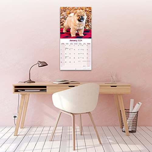 Chow Chow Dog Calendar - Chow Chow Calendar - Dog Breed Calendars - 2023 - 2024 wall calendars - 16 Month by Avonside
