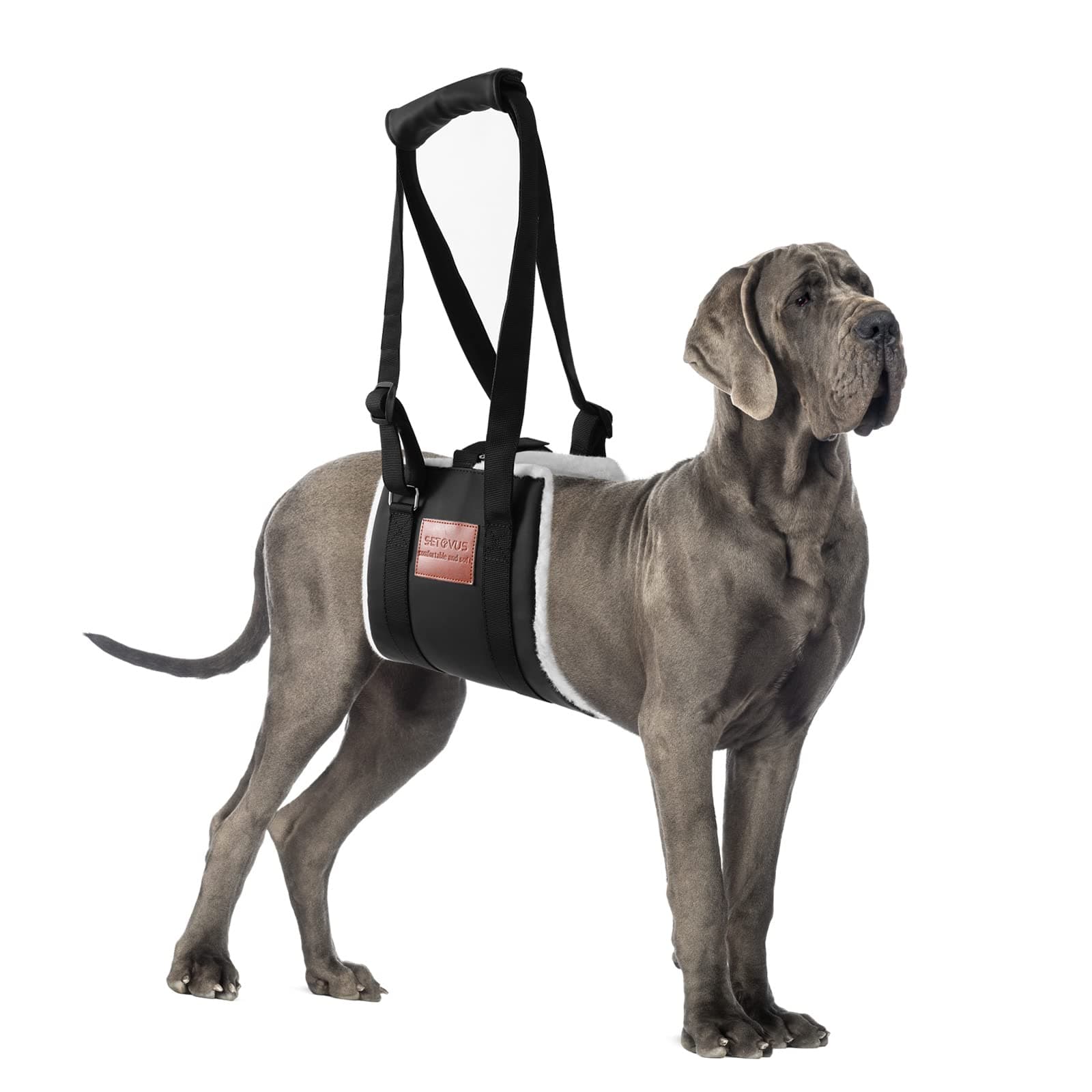 Dog Sling for Back Legs, Dog Lift Harness, Magic Tape Dog Sling for Large Dogs Hind Leg Support, Elderly Dog Lifter, Help Canie Hip Arthritis K9 Cruciate Ligament Rehabilitation (Large)