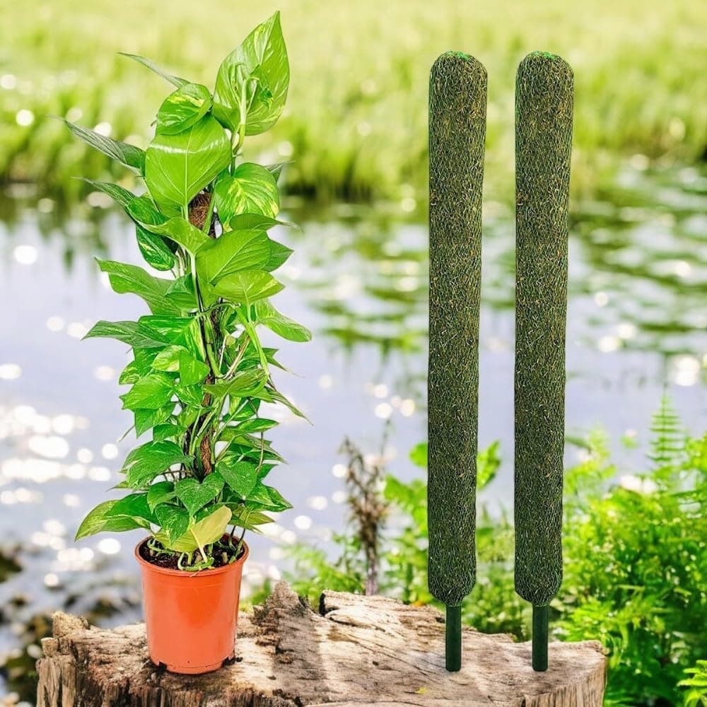 Bhajanlal Greenery Moss Stick/Coco Pole for Climbing Indoor & Outdoor Plants | Green Grass Pole for Housing Plants, Creeper Support | Moss Stick (3FT (Pack of 2))