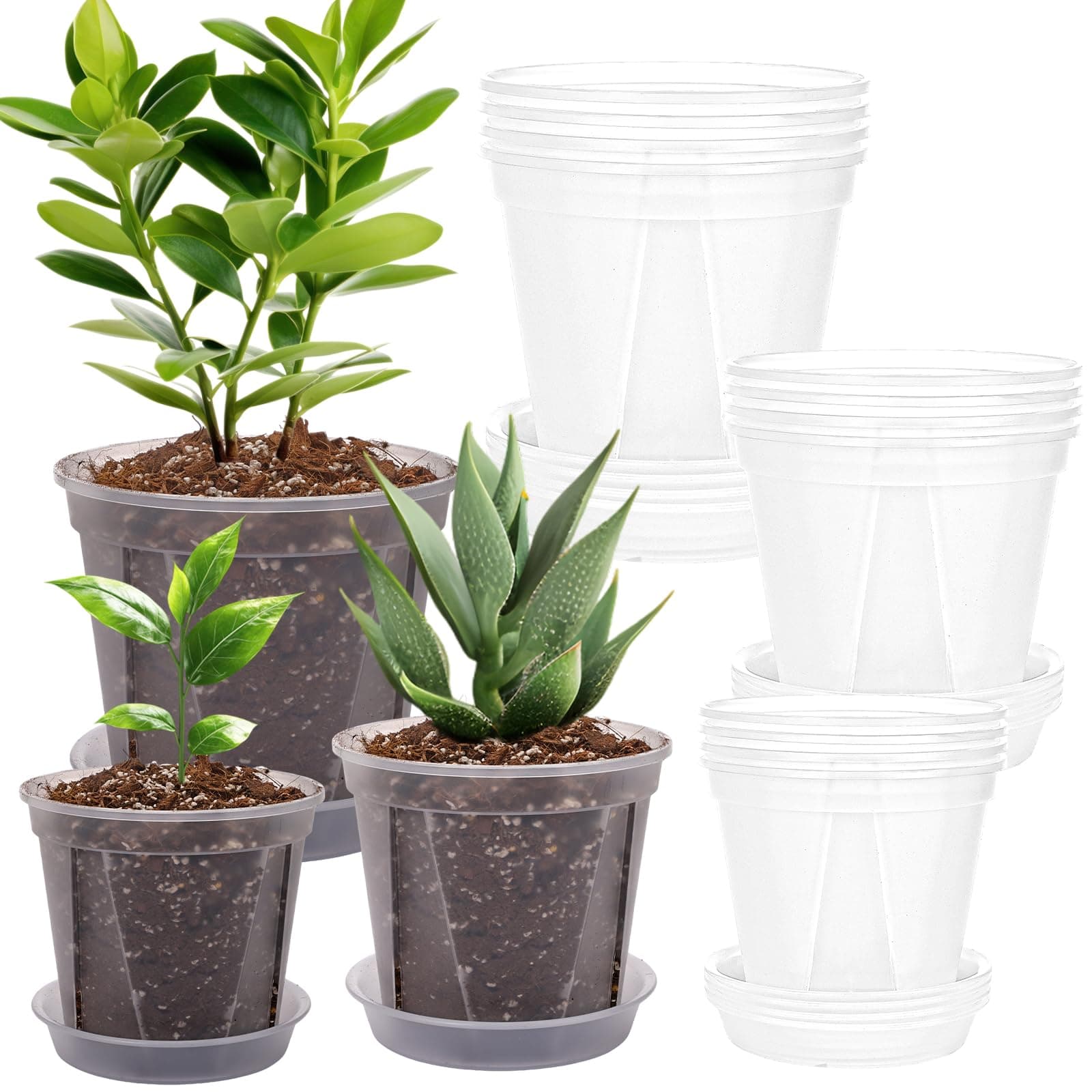 CEWOR 12 Pack 4/5/6 Inch Clear Nursery Pots with Drainage, Plastic Plant Pots with Saucer for Flowers, Succulent, Herb, Indoor Plants, Transparent Seed Starting Pots Variety Pack