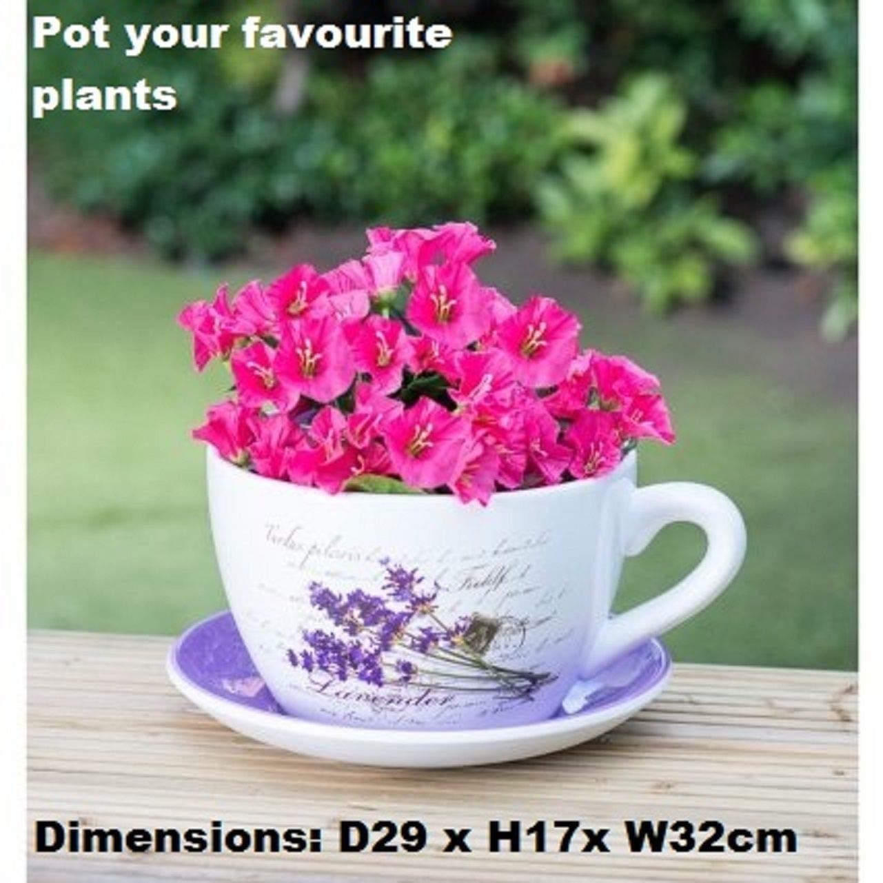 Kachhu® Traditional Bitterfly Vintage Beautiful Ceramic Teacup & Saucer Planter Decor