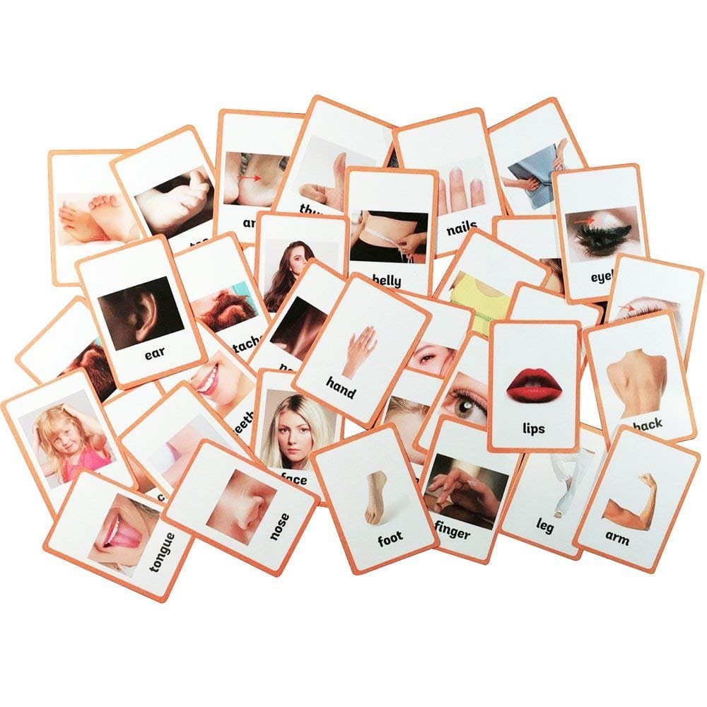 34 Pcs Body Parts Cards- Learning Picture & Word Card Flashcards(English word learning card & pocket size flash card for children and Preschool),4.33x3.15in