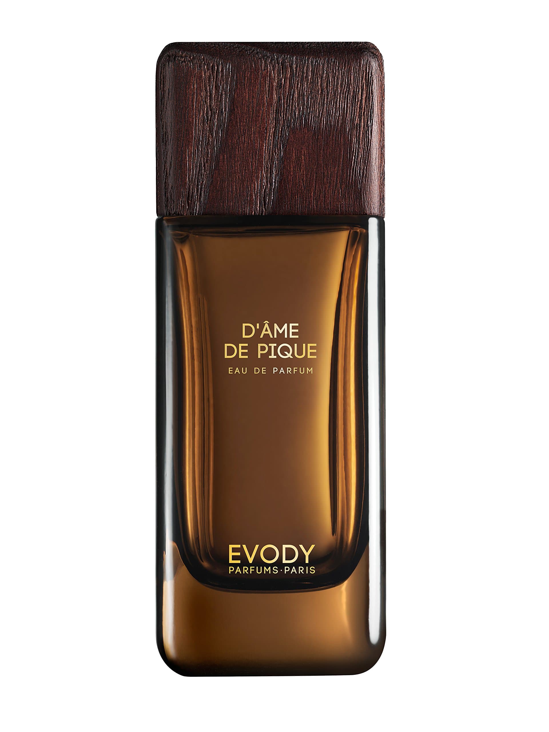 EVODY Dame De Pique EDP Vapo 100 ml Skin Care 100 ml Pack of 1