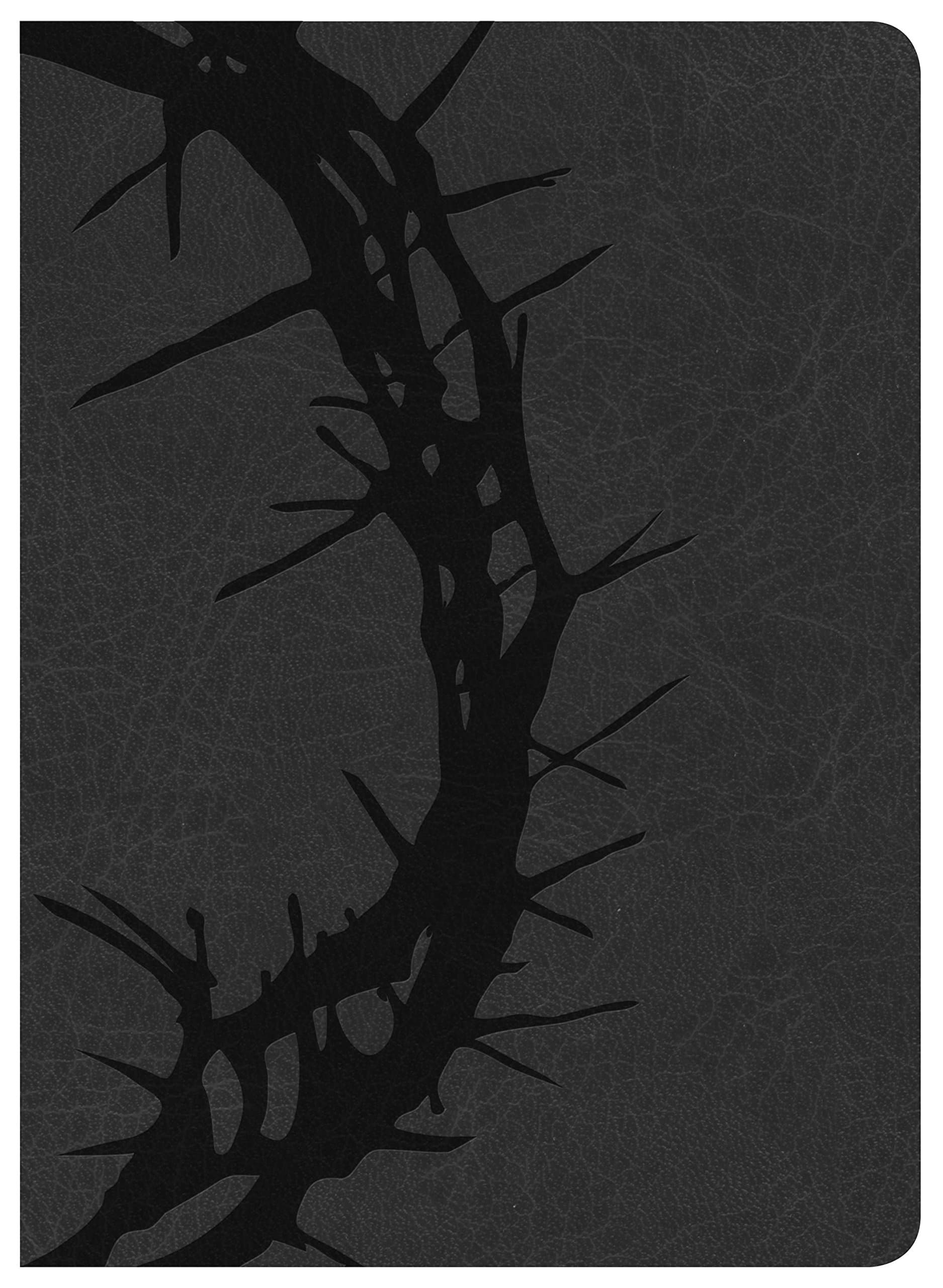 Holman Study Bible: NKJV Edition, Charcoal LeatherTouch Imitation Leather – September 1, 2015